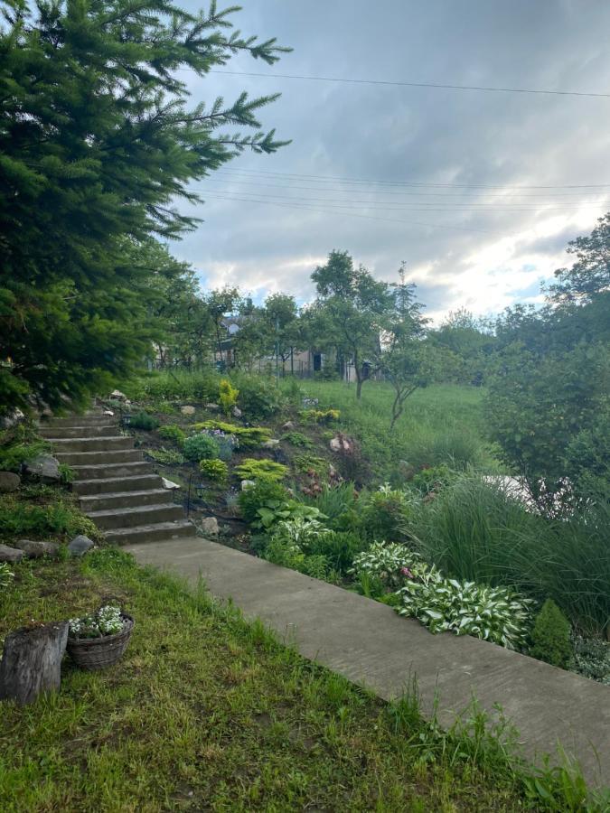 Holiday Home Usadba Novoselitsa Buitenkant foto