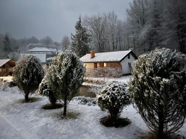 Holiday Home Usadba Novoselitsa Buitenkant foto