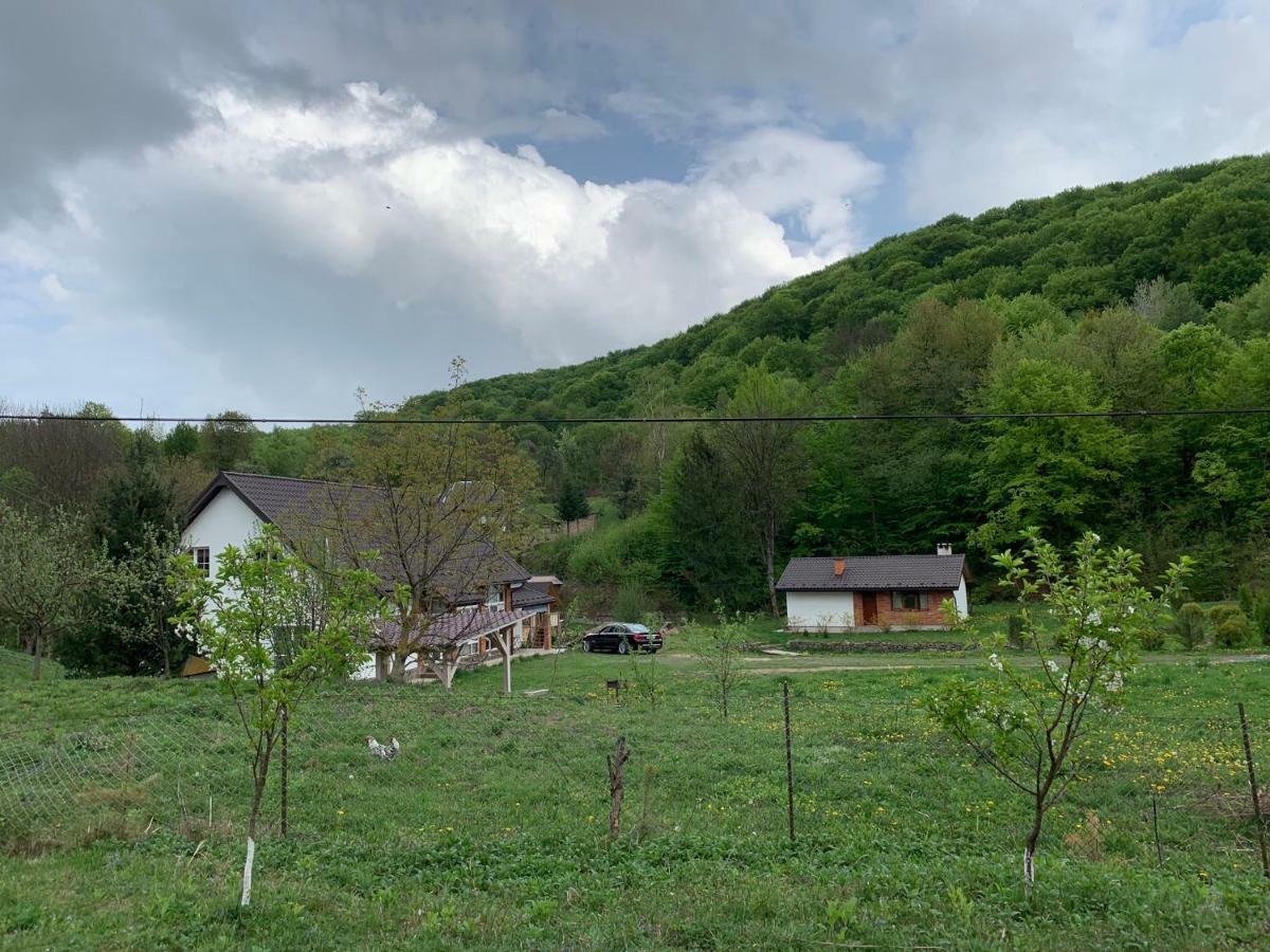 Holiday Home Usadba Novoselitsa Buitenkant foto